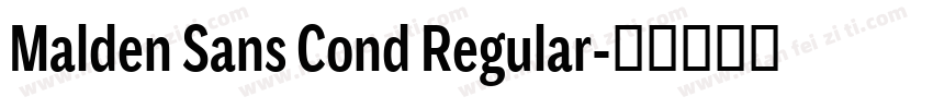 Malden Sans Cond Regular字体转换